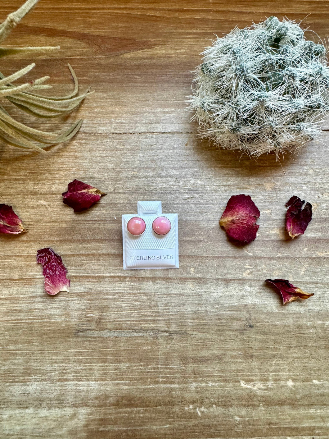 Stud round pink conch earrings